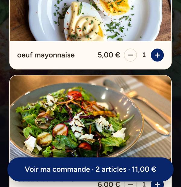 Deux plats ajoutés, avec leur quantité, et la barre « Voir ma commande · 2 articles · 11,00 € » en bas de l'écran